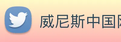 威尼斯中国网站 logo